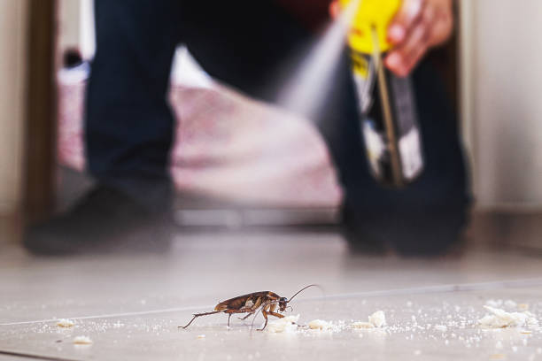 Best Pest Removal Services  in Ocean City, MD